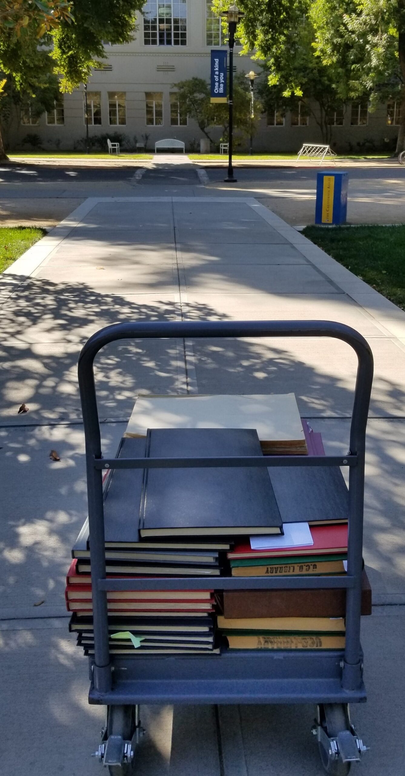 Book cart with bound copies of The Aggie on path with Shields Library in the background