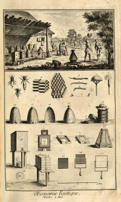 50 Features Of Special Collections Encyclopedist Denis Diderot Uc