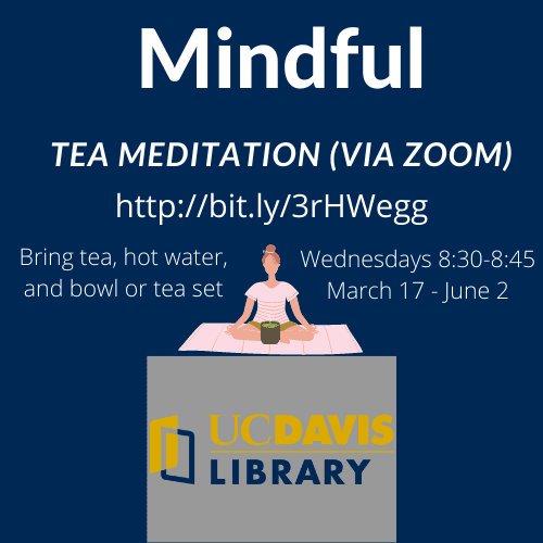 Mindful tea meditation