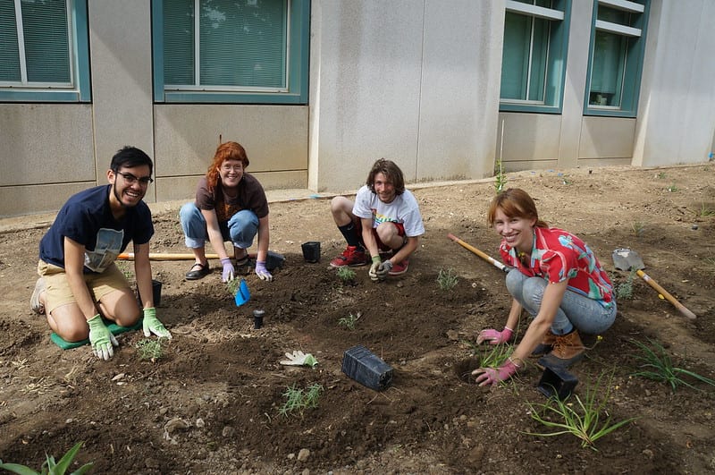 UC Davis Arboretum team plants sustainable plants outside Shields Library