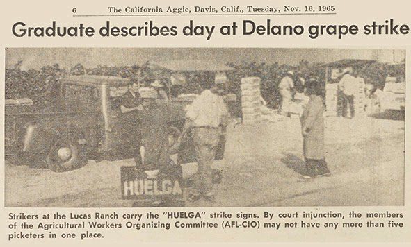 Newspaper article from the California Aggie reporting on the Delano Grape Strike