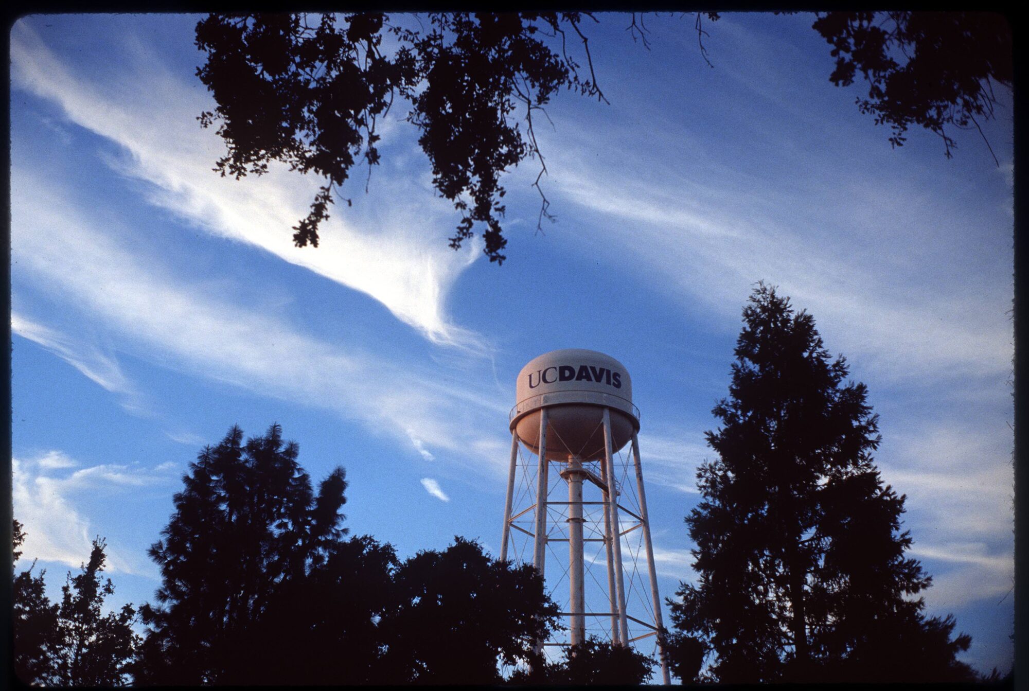 Water tower among a tree line