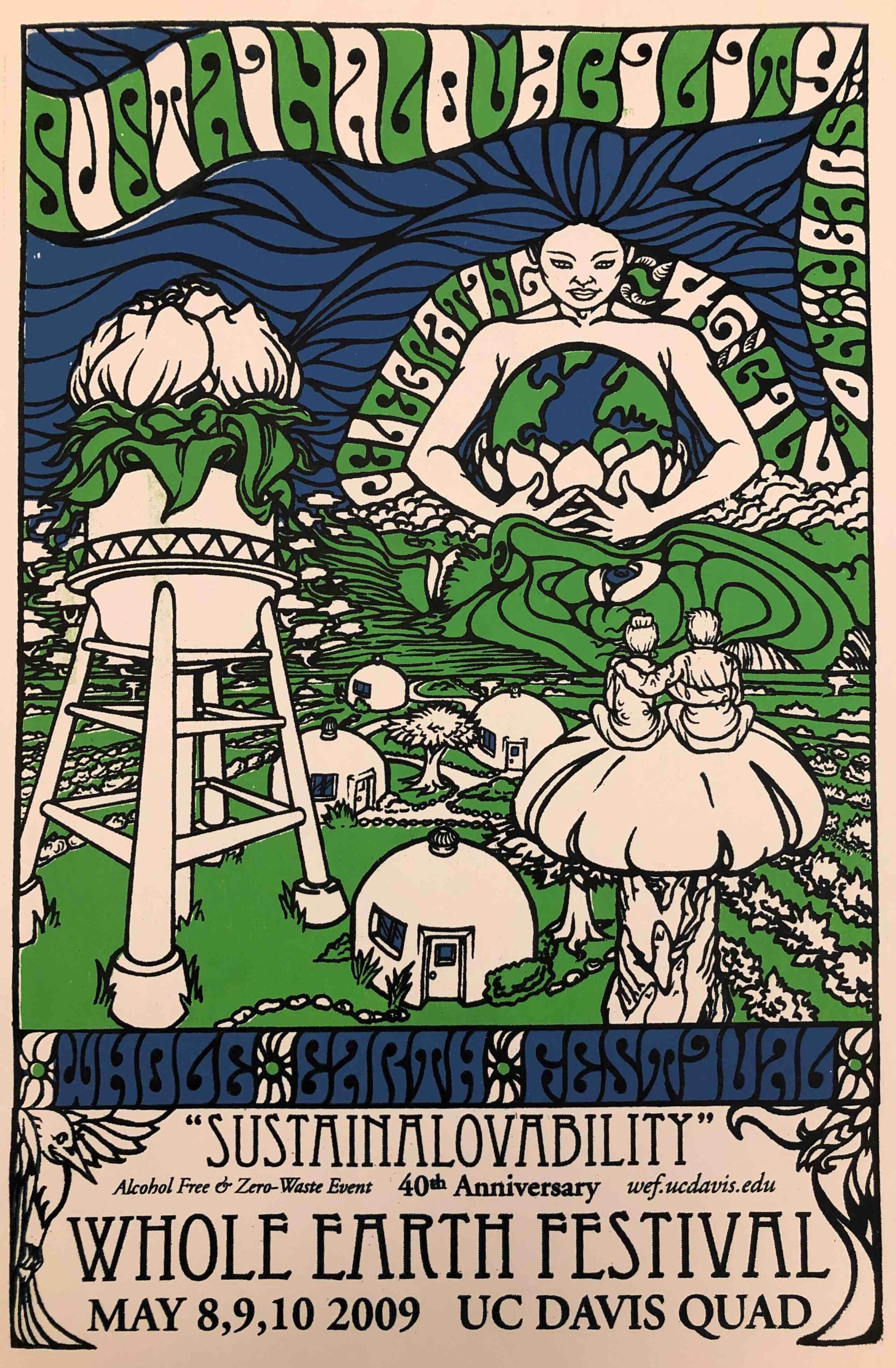 Poster for the 2009 Whole Earth Festival