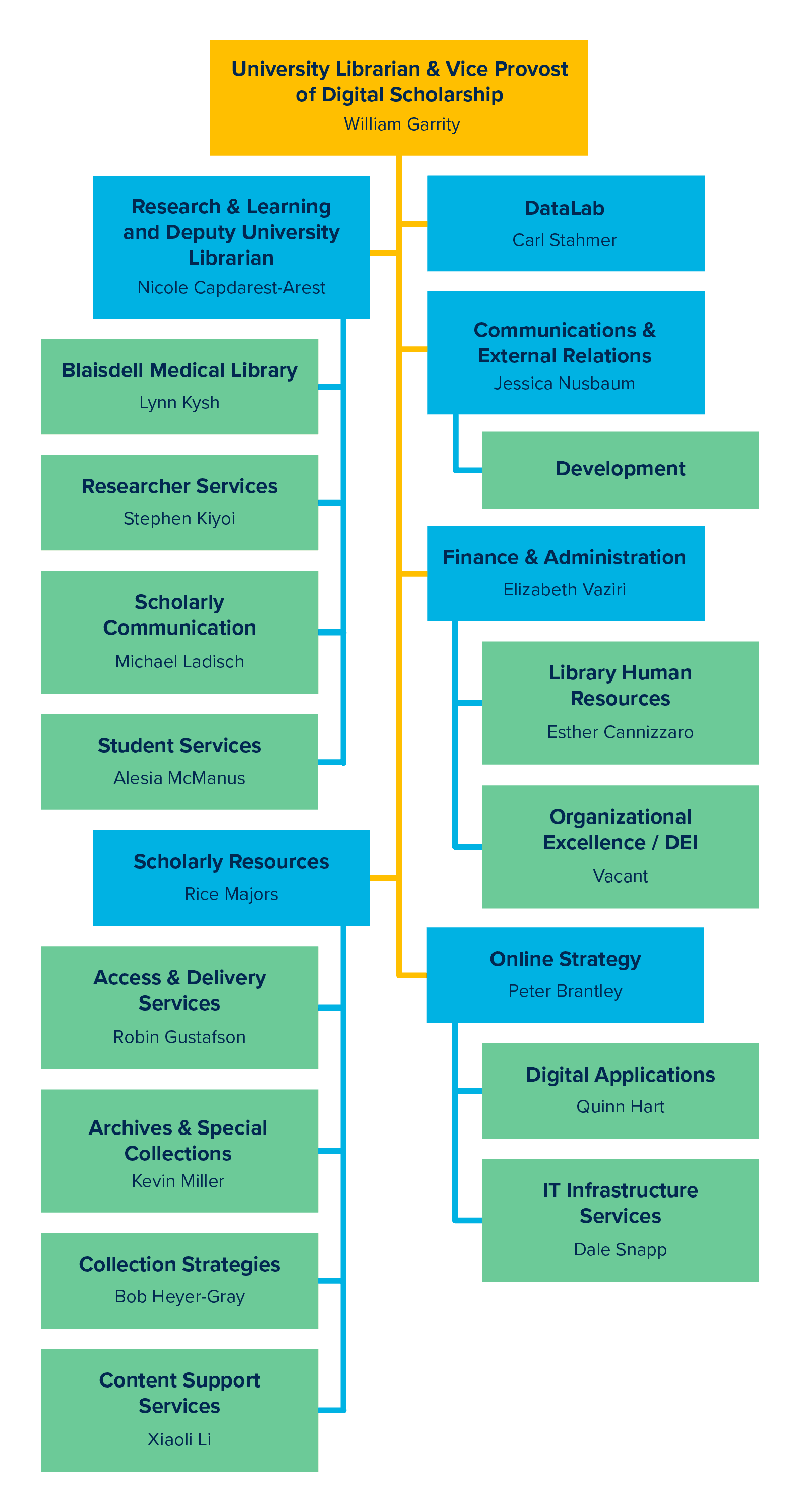 A graphical representation of the library's organizational chart