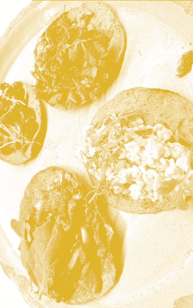 A plate of tacos in duotone yellow and white