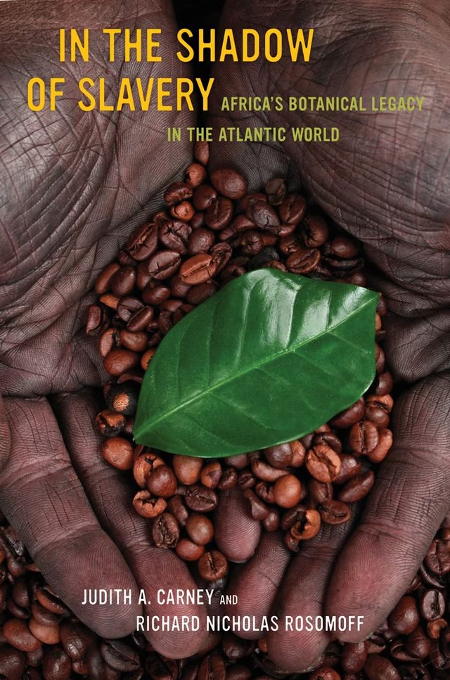 Book Cover for In the Shadow of Slavery: Africa’s Botanical Legacy in the Atlantic World