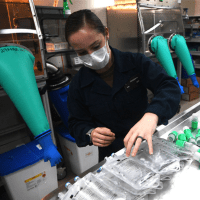 Pharmacist reviewing drug formulations