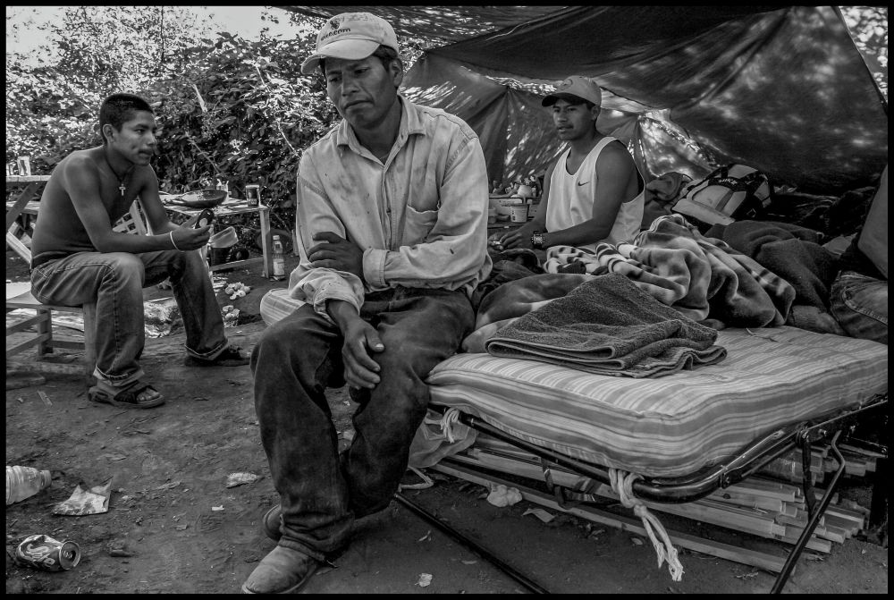 A farm laborer sits on a cot in the foreground, looking down. Two other workers sit in the shade of a tarp in the background.