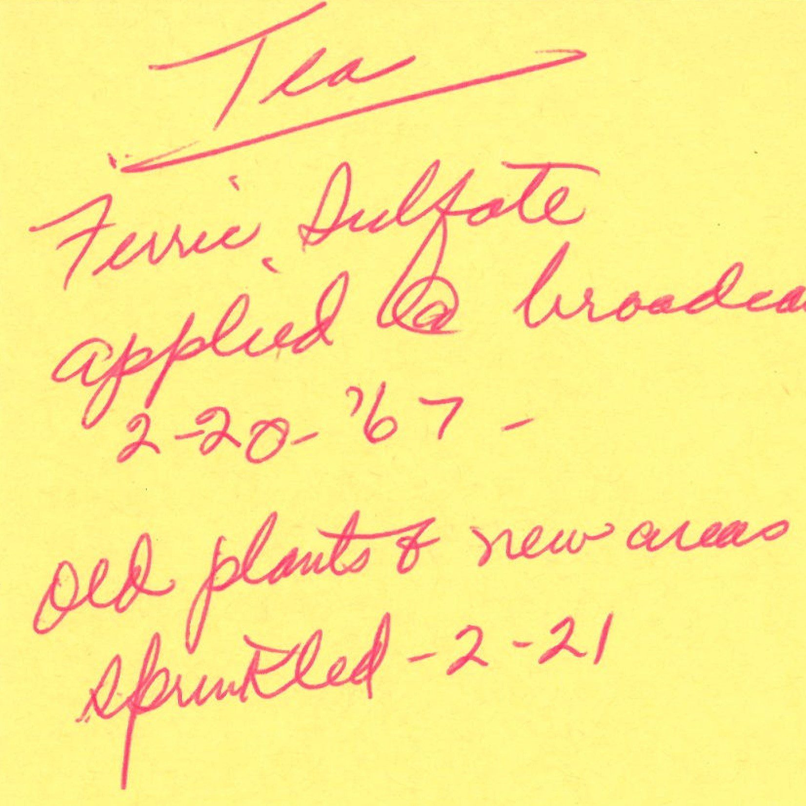 Note handwritten in red pen on yellow paper, titled Tea