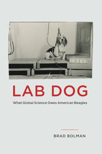 Cover of Lab Dog: What Global Science Owes American Beagles