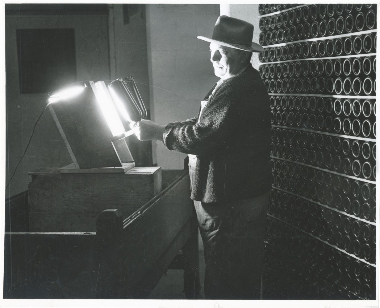 A man holds two wine bottles upside down by the neck of the bottles in front of a bright light. Behind him is a wall of shelves containing at least 20 rows of wine bottles.