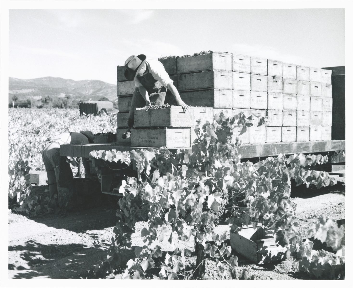 A worker stands atop a truck stacked high with crates.